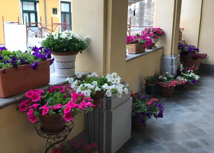 Bed & Breakfast Palazzo Conforti 3*